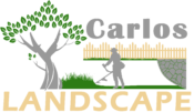 Carlos Landscape